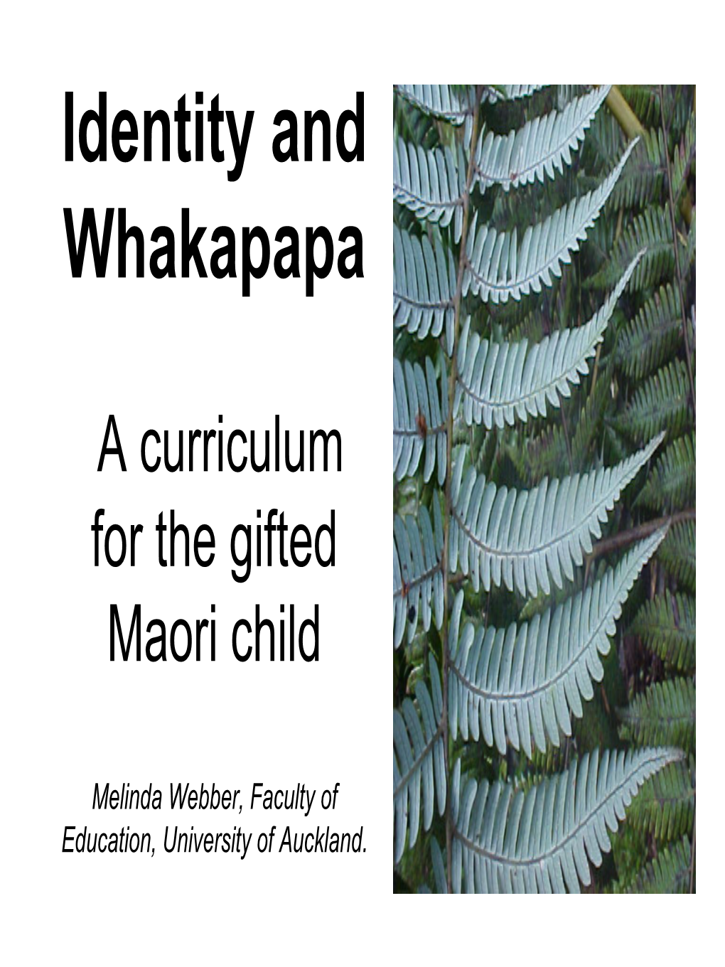 Identity and Whakapapa a Curriculum for the Gifted Maori Child Melinda
