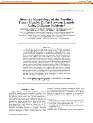 Does the Morphology of the Forelimb Flexor Muscles Differ Between Lizards Using Different Habitats?
