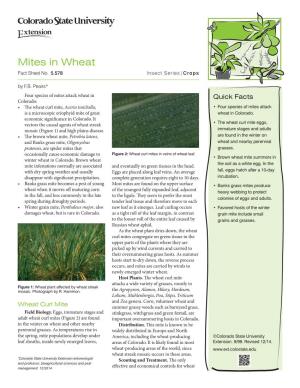 Mites in Wheat Fact Sheet No