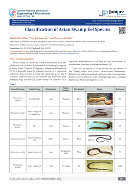 Classification of Asian Swamp Eel Species