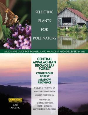Central Appalachian Broadleaf Forest Coniferous Forest Meadow Province