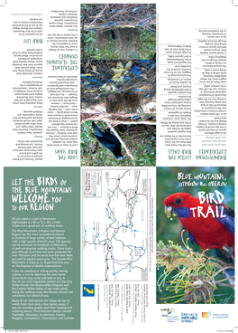 Download the Bird Trail