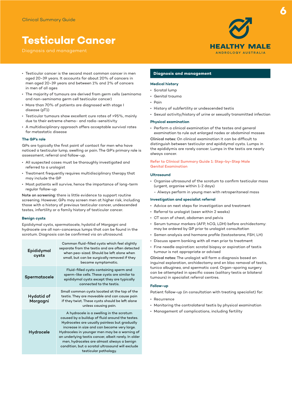 Testicular Cancer Diagnosis and Management