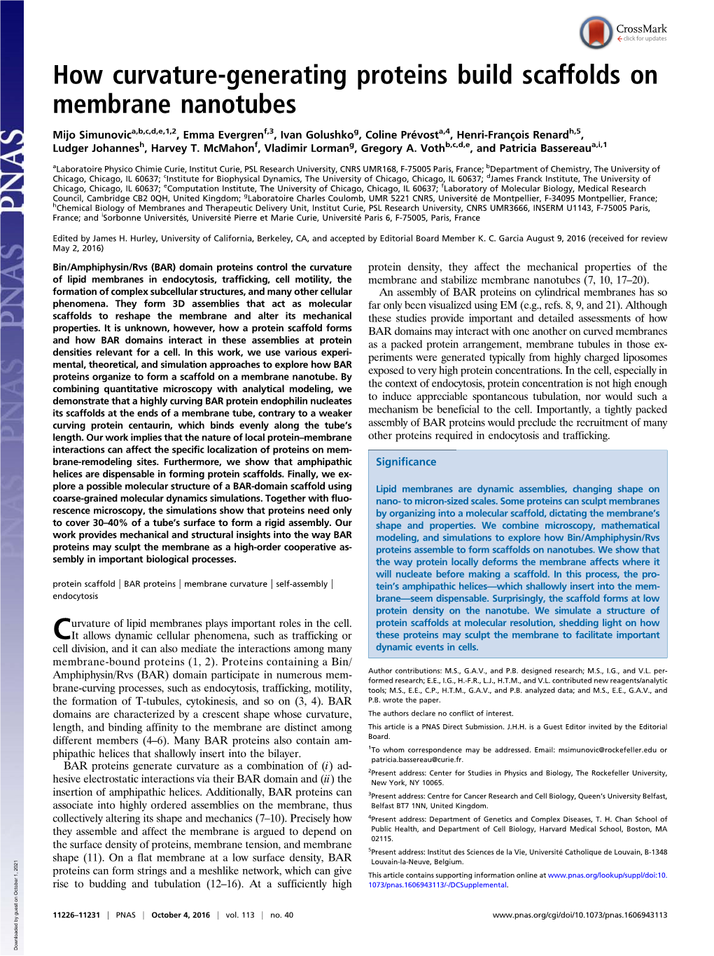 How Curvature-Generating Proteins Build Scaffolds on Membrane Nanotubes