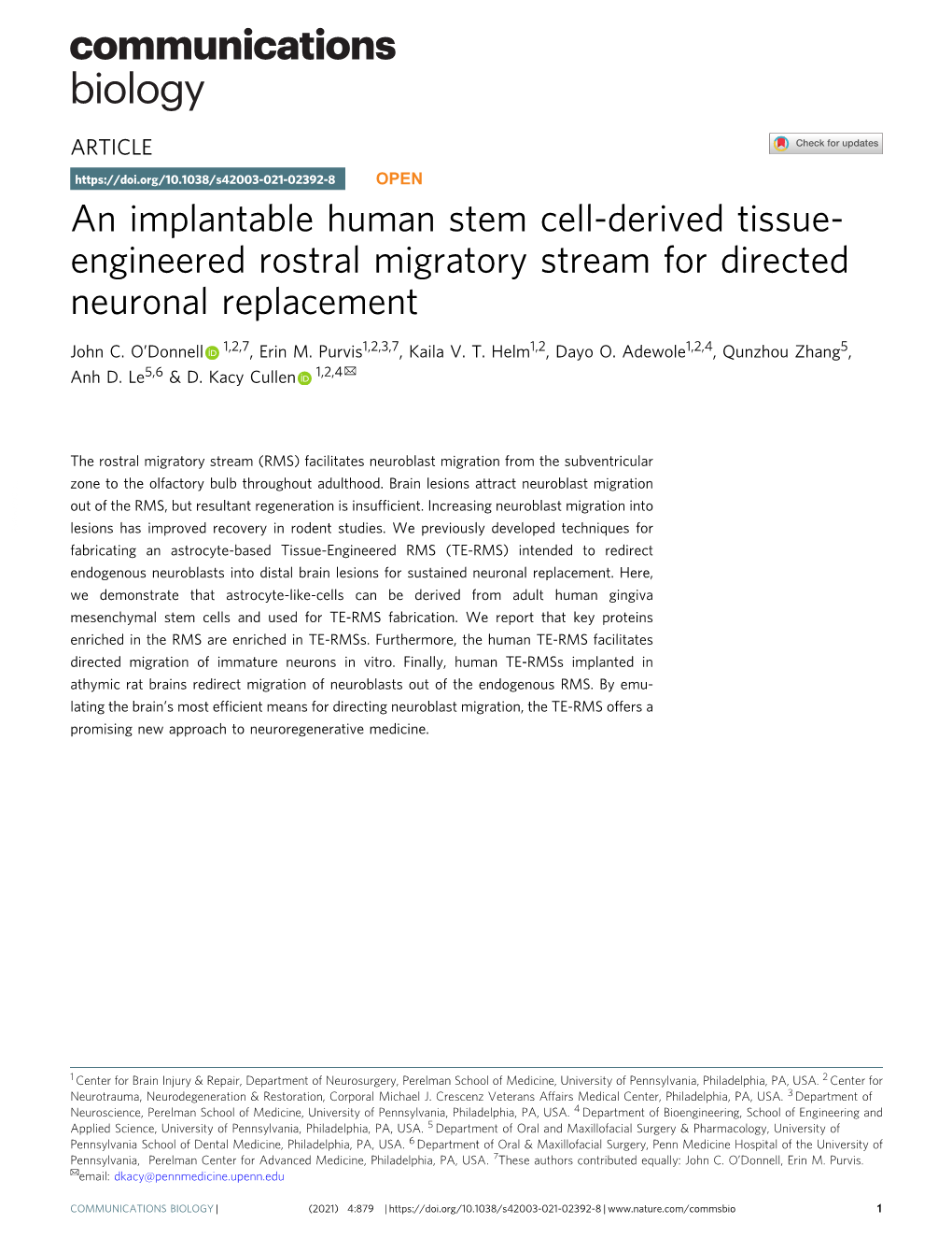 An Implantable Human Stem Cell-Derived Tissue-Engineered