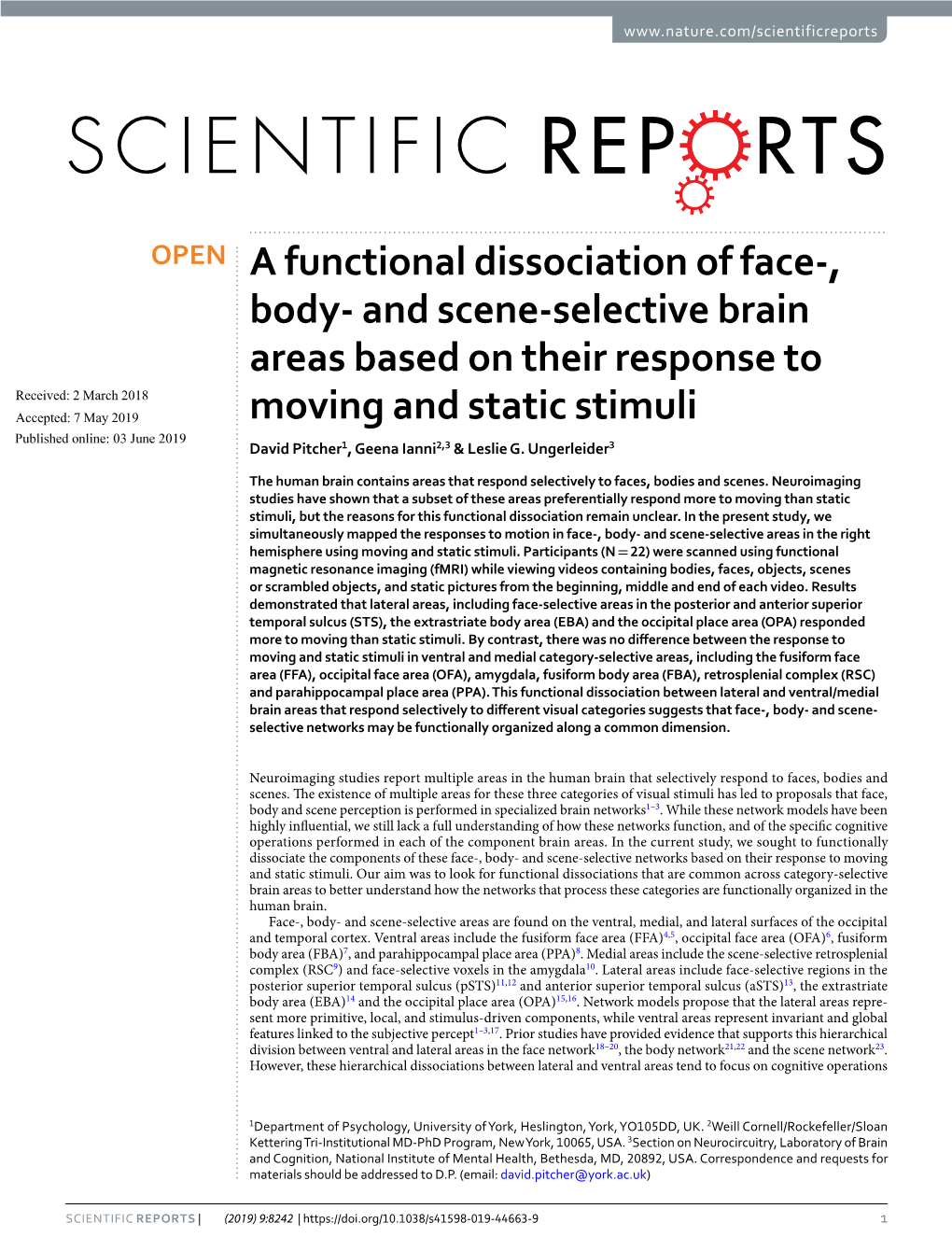 And Scene-Selective Brain Areas Based on Their
