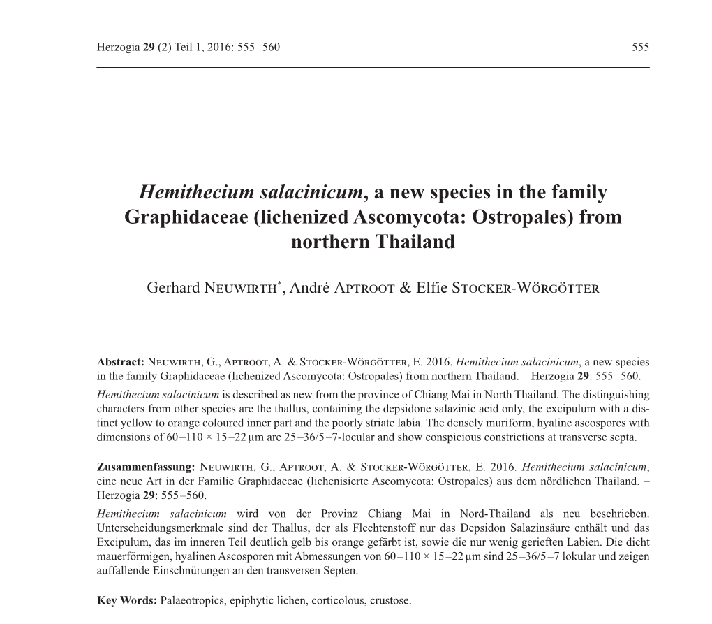 Hemithecium Salacinicum, a New Species in the Family Graphidaceae (Lichenized Ascomycota: Ostropales) from Northern Thailand