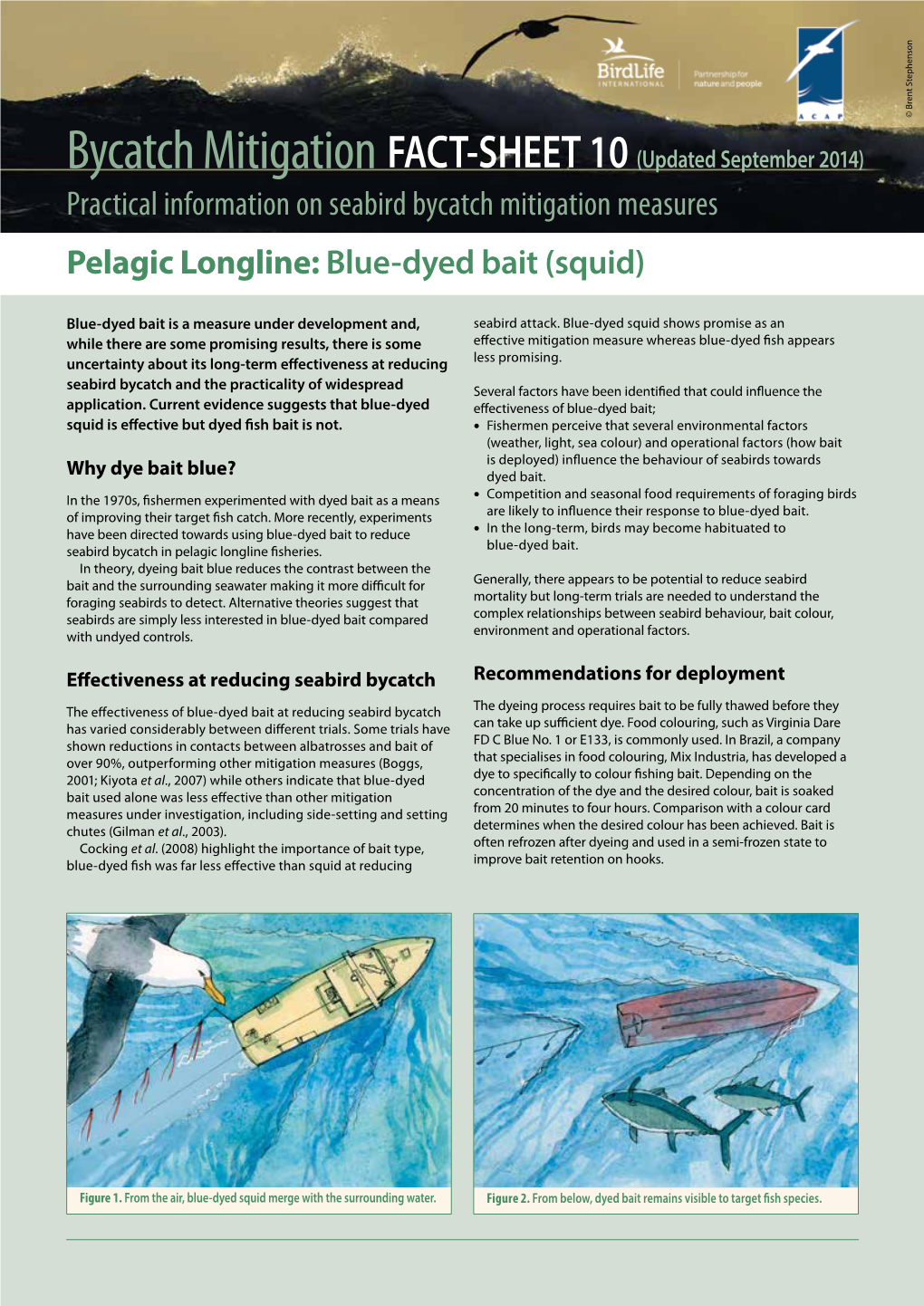 Pelagic Longline Blue-Dyed Bait