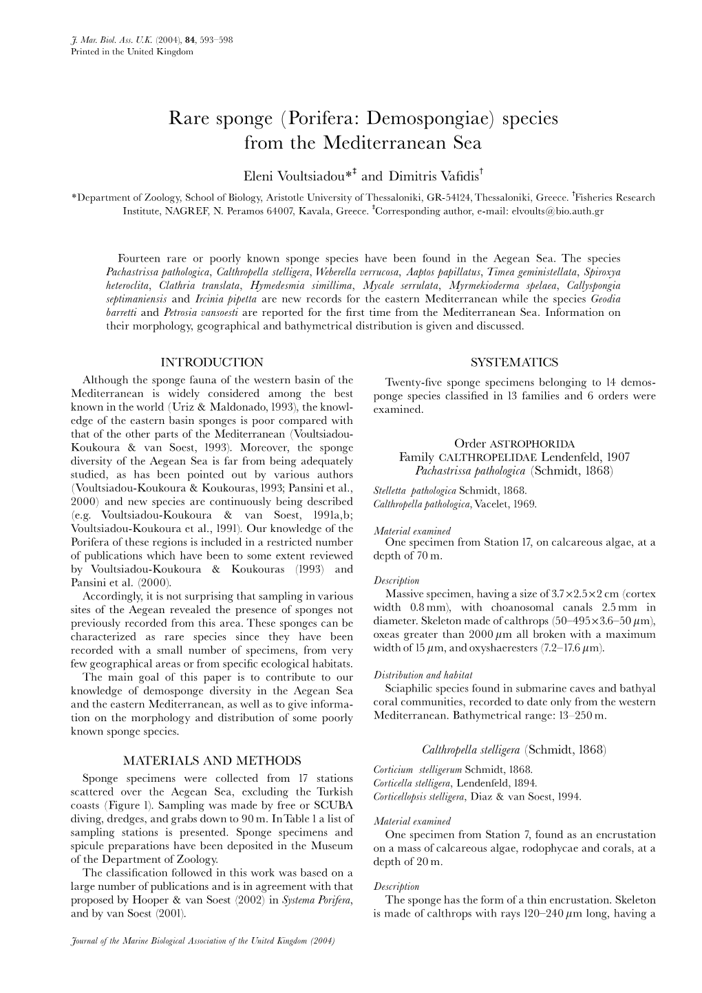 Rare Sponge (Porifera: Demospongiae) Species from the Mediterranean Sea