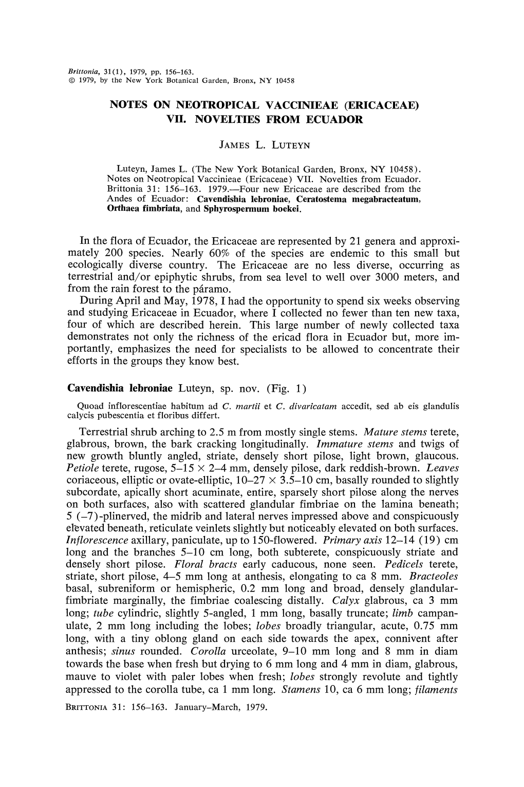 (Ericaceae) Vii. Novelties from Ecuador