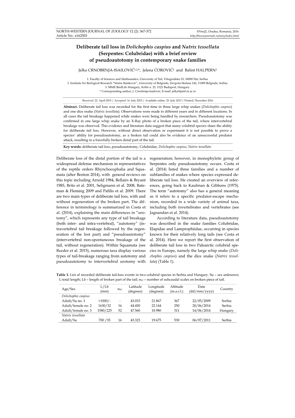 Deliberate Tail Loss in Dolichophis Caspius and Natrix Tessellata (Serpentes: Colubridae) with a Brief Review of Pseudoautotomy in Contemporary Snake Families