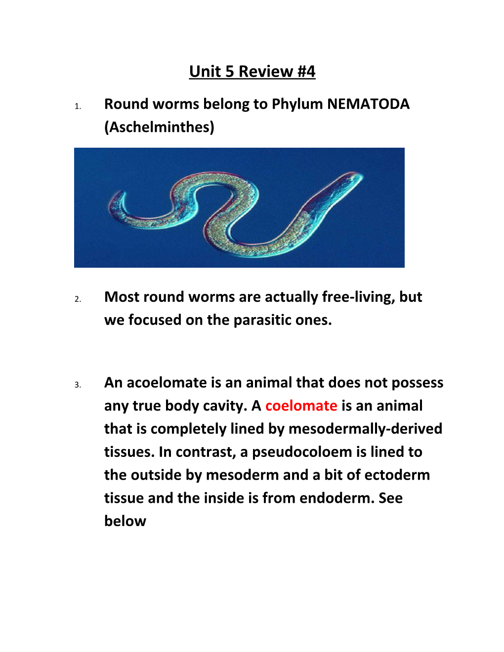 1. Round Worms Belong to Phylum NEMATODA (Aschelminthes)