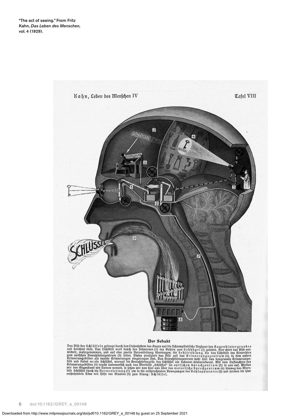 6 Doi:10.1162/GREY a 00148 “The Act of Seeing.” from Fritz Kahn, Das Leben Des Menschen, Vol. 4 (1929)