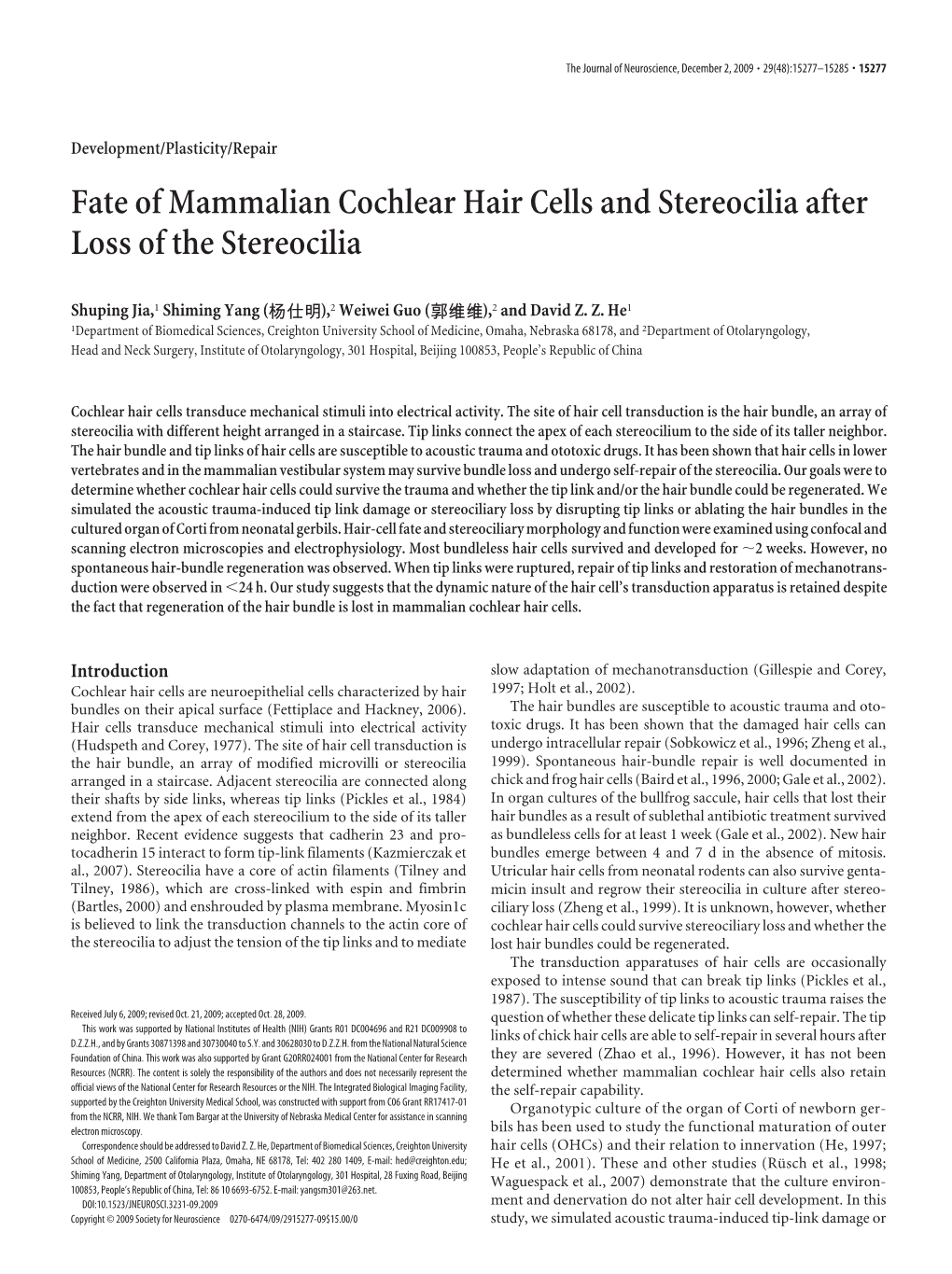 Fate of Mammalian Cochlear Hair Cells and Stereocilia After Loss of the Stereocilia