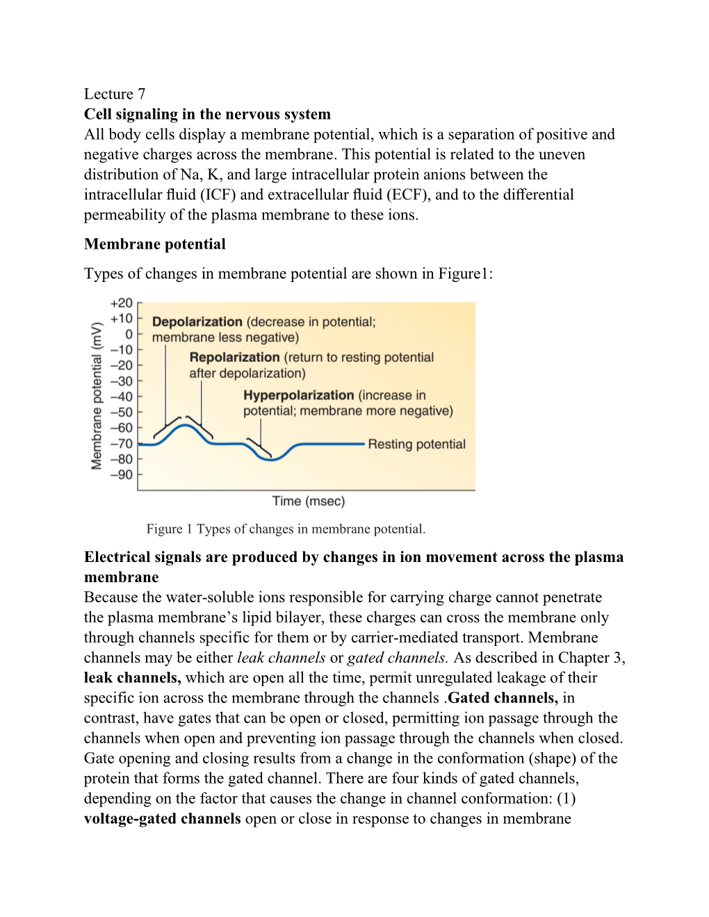 Lecture 7 Cell Signaling in the Nervous System All Body Cells Display a Membrane Potential, Which Is a Separation of Positive and Negative Charges Across the Membrane