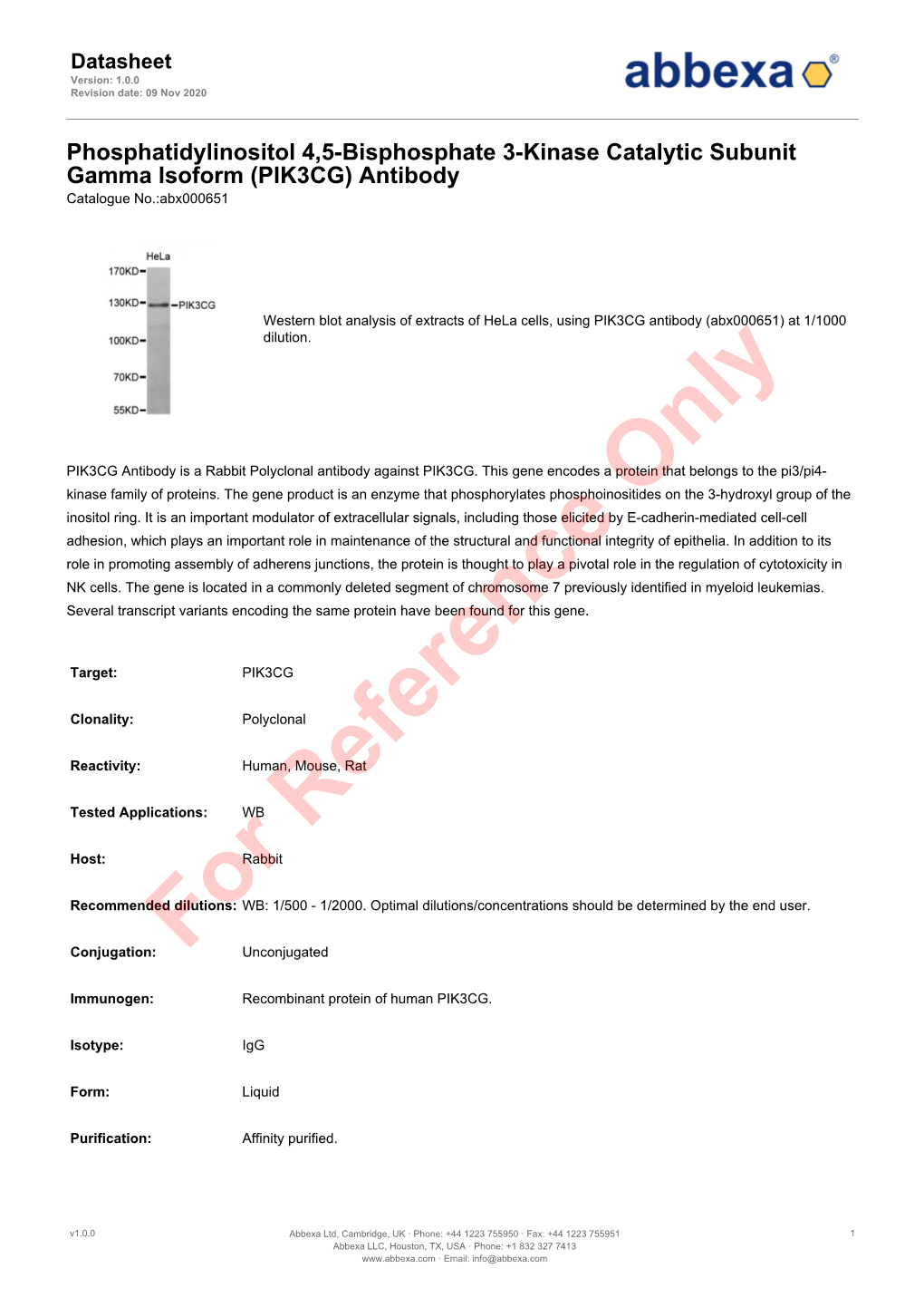 PIK3CG) Antibody Catalogue No.:Abx000651