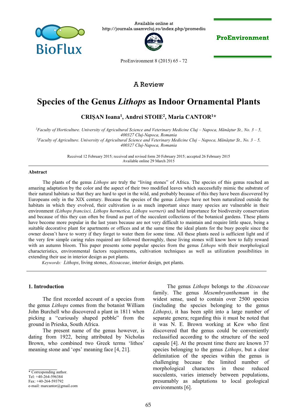 Species of the Genus Lithops As Indoor Ornamental Plants