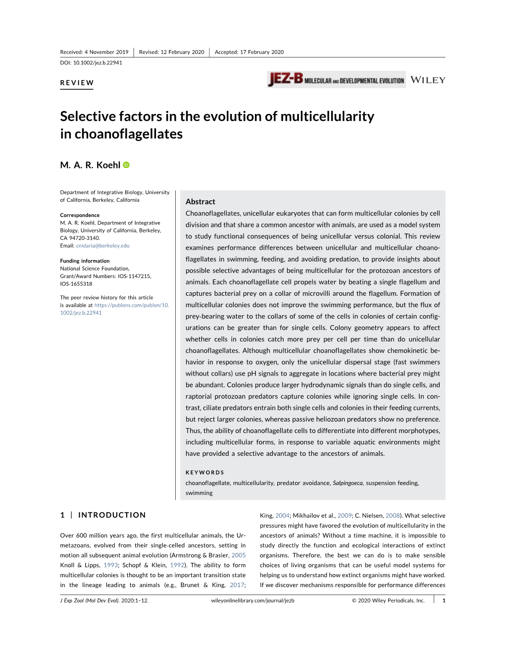 Selective Factors in the Evolution of Multicellularity in Choanoflagellates