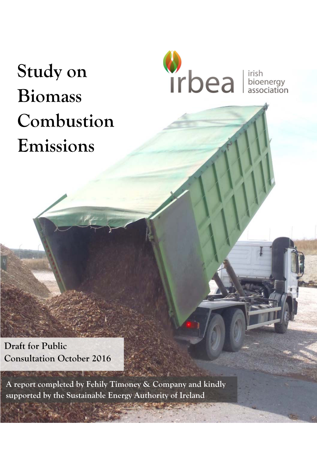 Study on Biomass Combustion Emissions