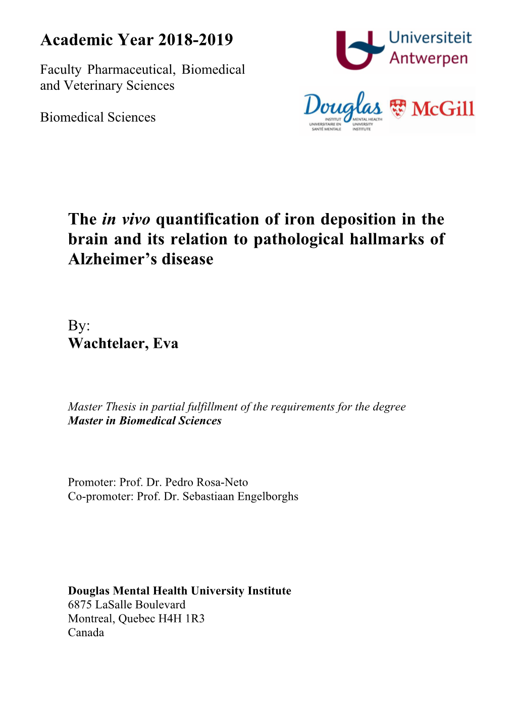 Academic Year 2018-2019 the in Vivo Quantification of Iron Deposition In