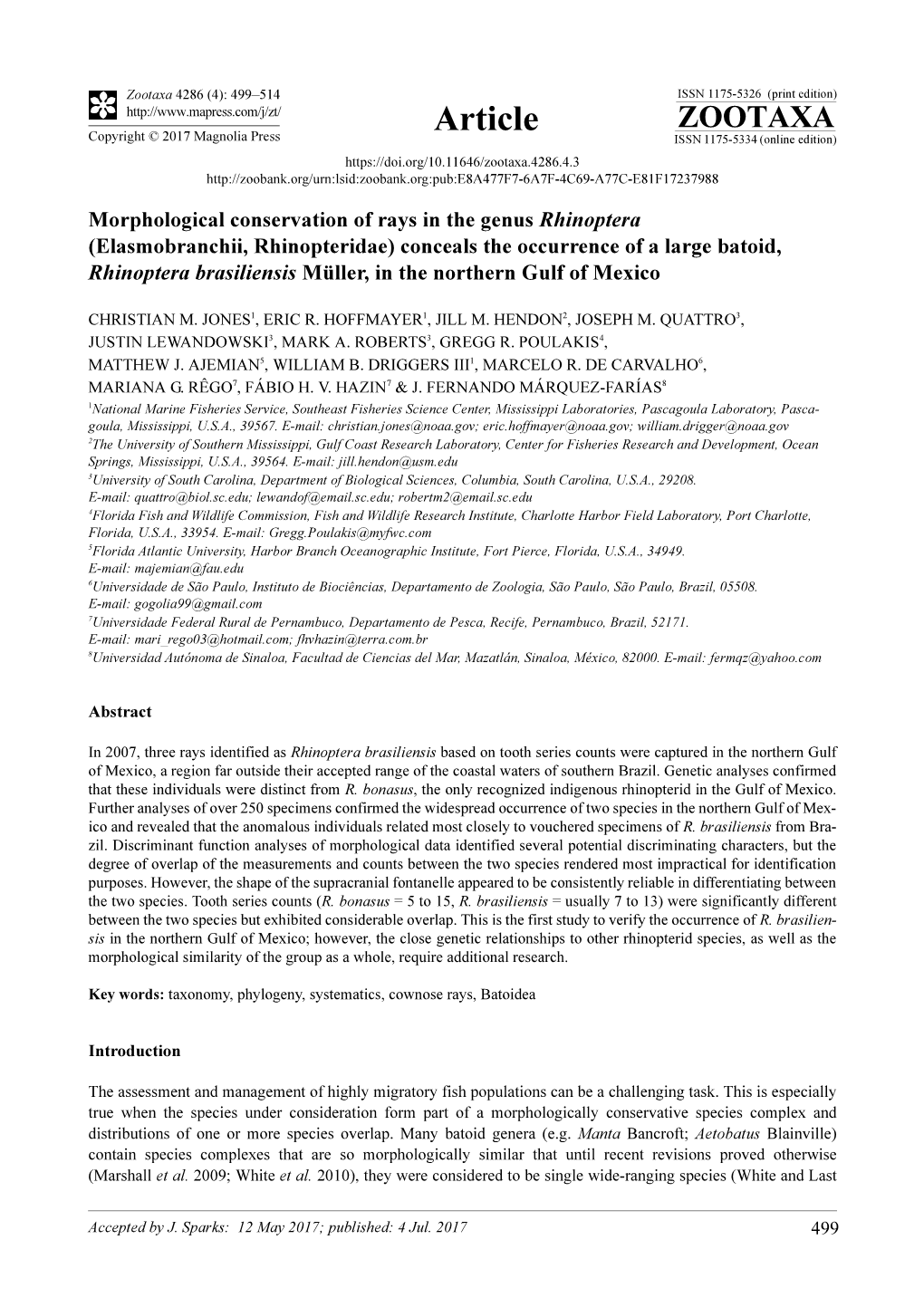 Morphological Conservation of Rays in the Genus Rhinoptera