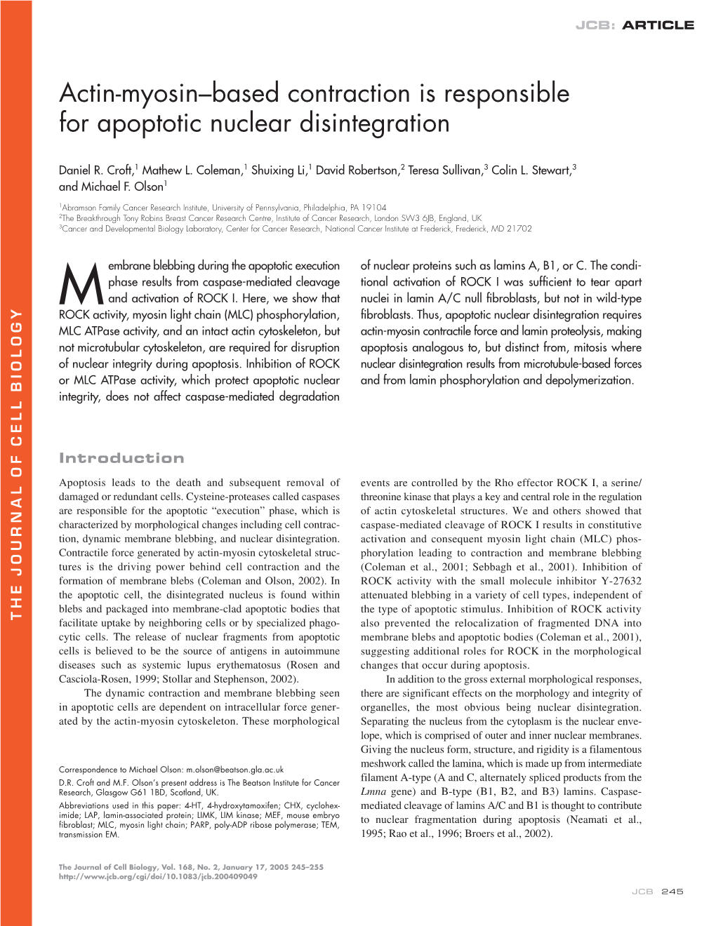 Actin-Myosin–Based Contraction Is Responsible For