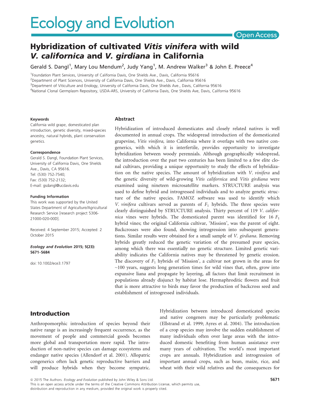 Hybridization of Cultivated Vitis Vinifera with Wild V.&#X00a0