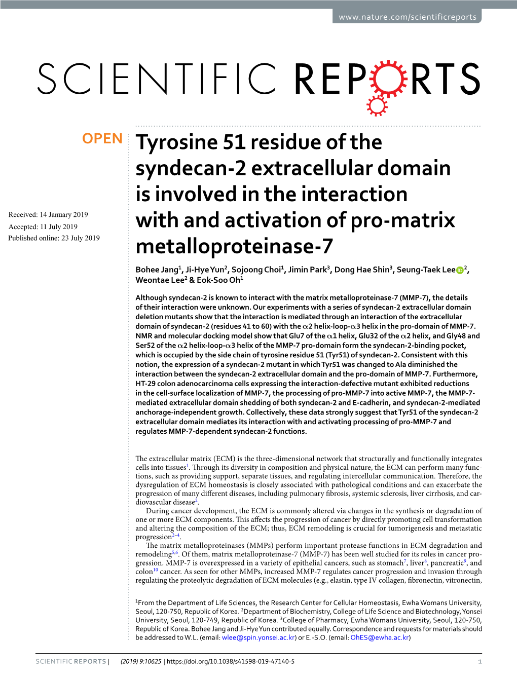 Tyrosine 51 Residue of the Syndecan-2 Extracellular Domain Is Involved in the Interaction with and Activation of Pro-Matrix Meta