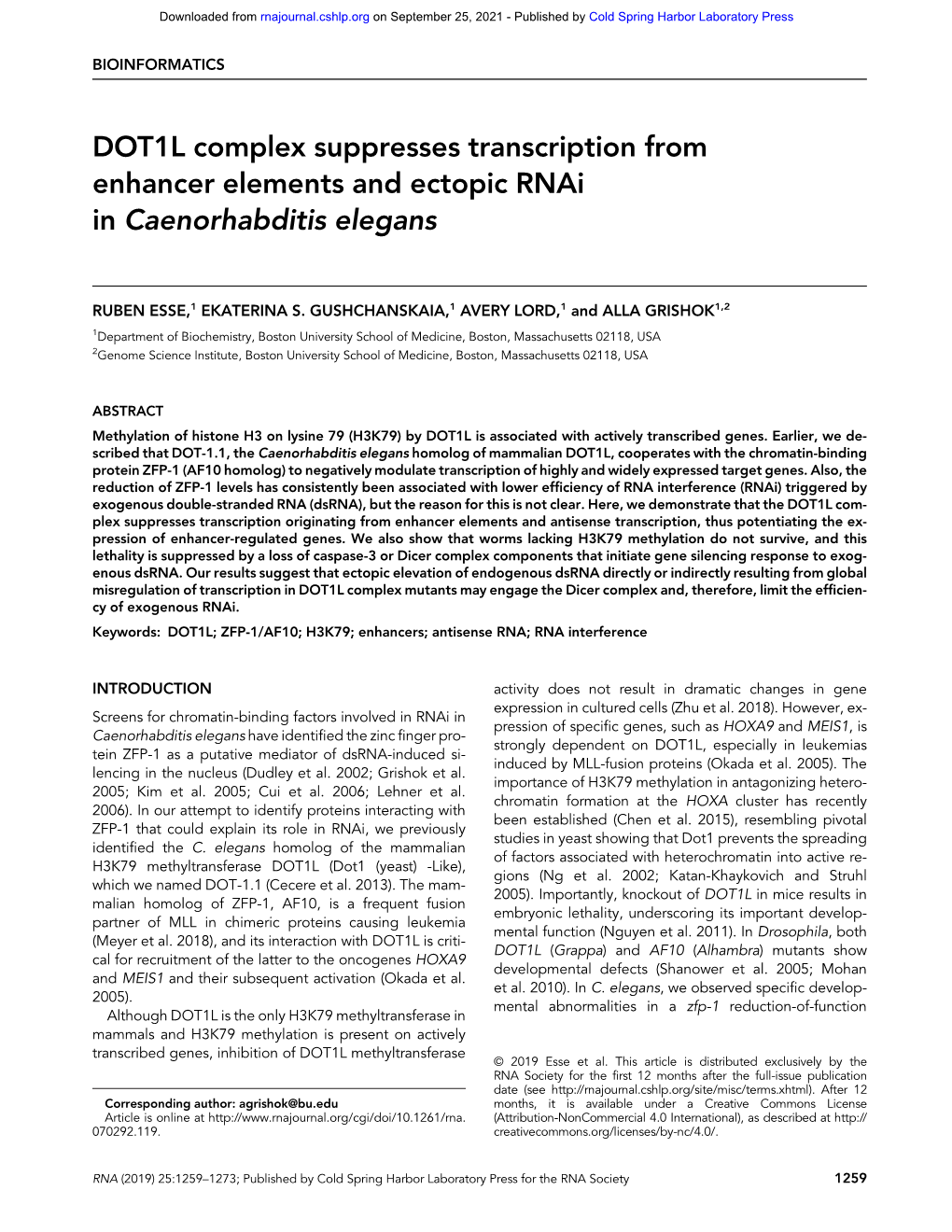 DOT1L Complex Suppresses Transcription from Enhancer Elements and Ectopic Rnai in Caenorhabditis Elegans