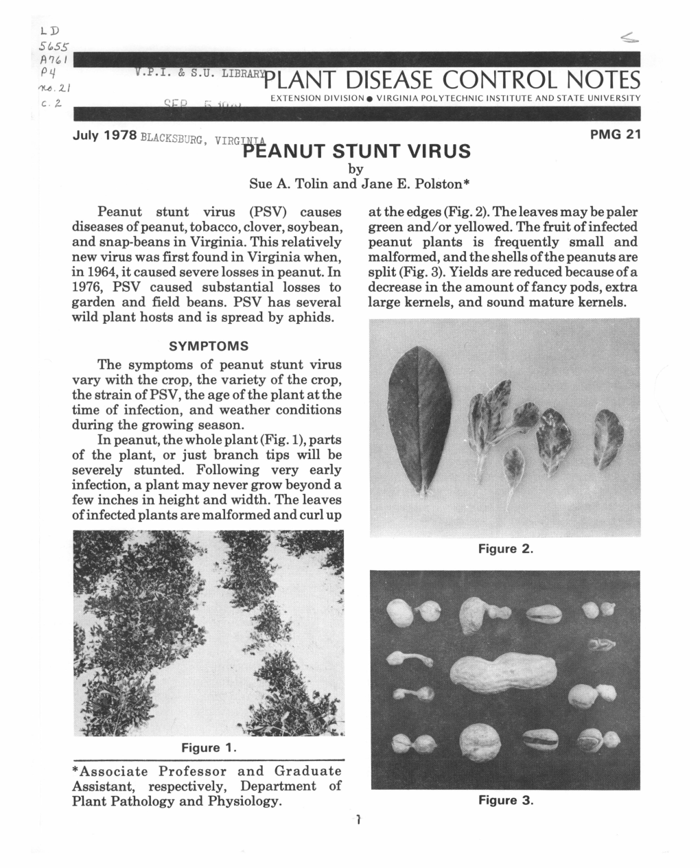 Peanut Stunt Virus 1978.Pdf (2.791Mb)