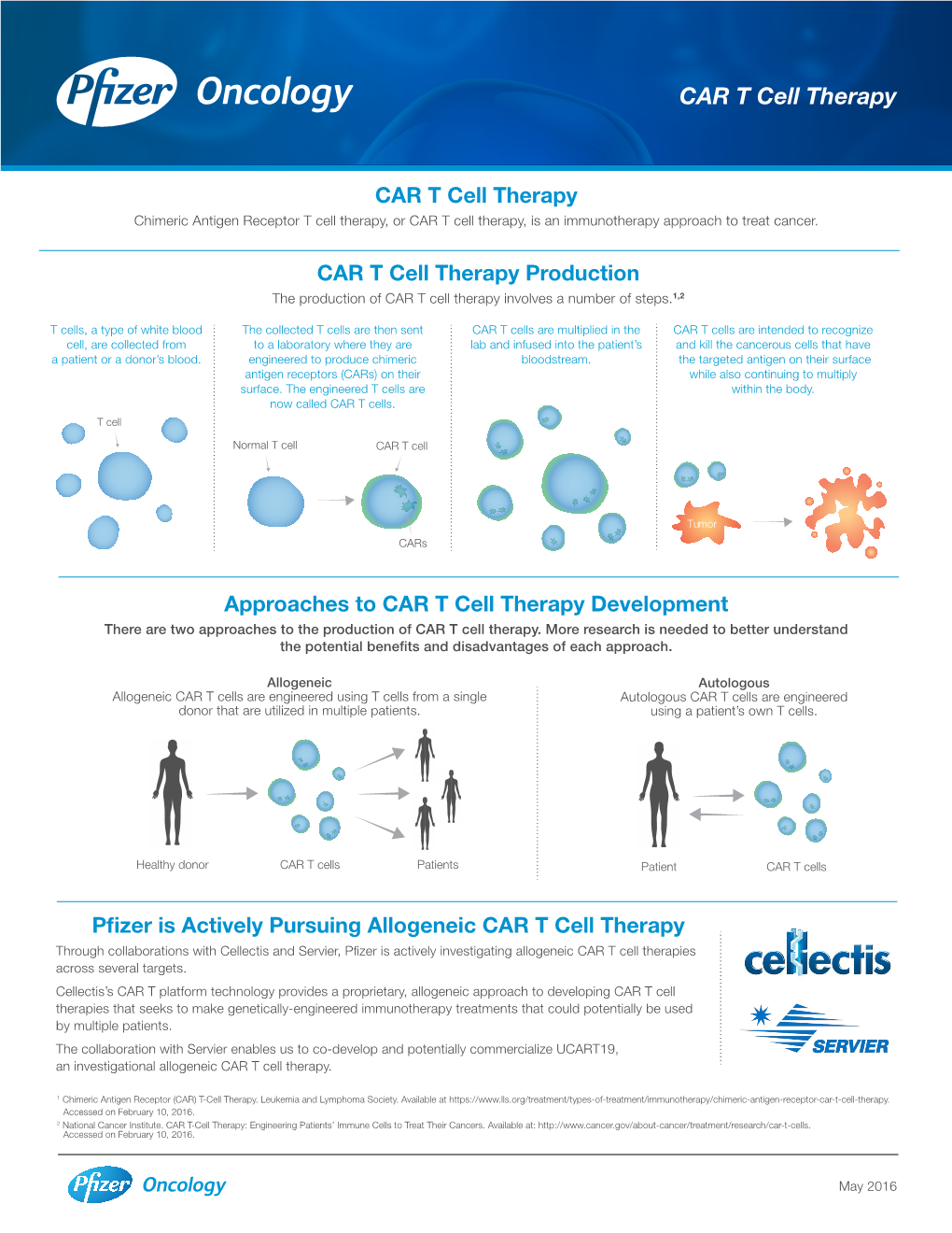 CAR T Cell Therapy