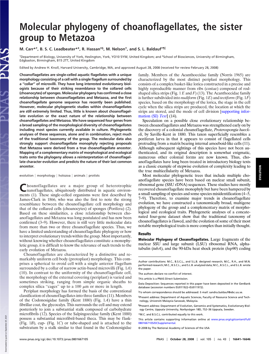 Molecular Phylogeny of Choanoflagellates, the Sister Group to Metazoa