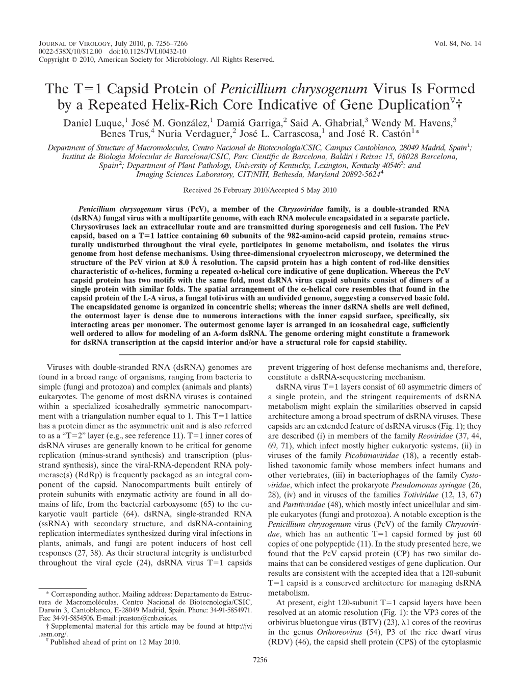 The T1 Capsid Protein of Penicillium Chrysogenum Virus Is Formed by a Repeated Helix-Rich Core Indicative of Gene Duplication