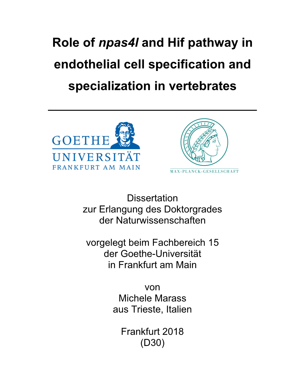 Role of Npas4l and Hif Pathway in Endothelial Cell Specification and Specialization in Vertebrates