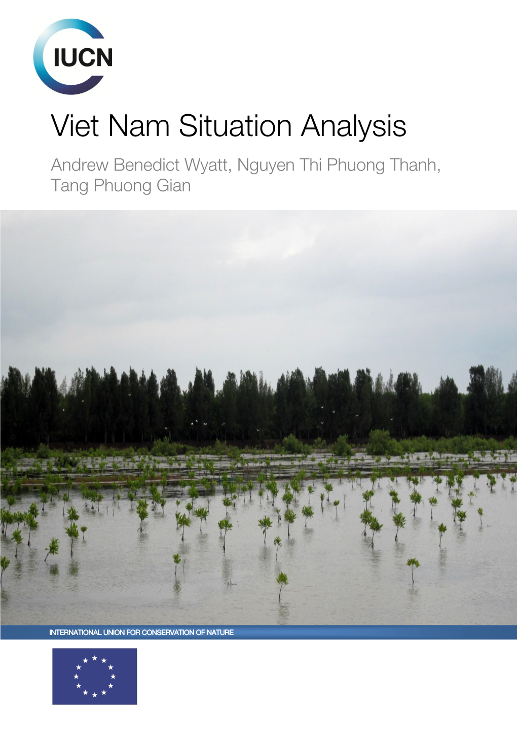 Viet Nam Situation Analysis