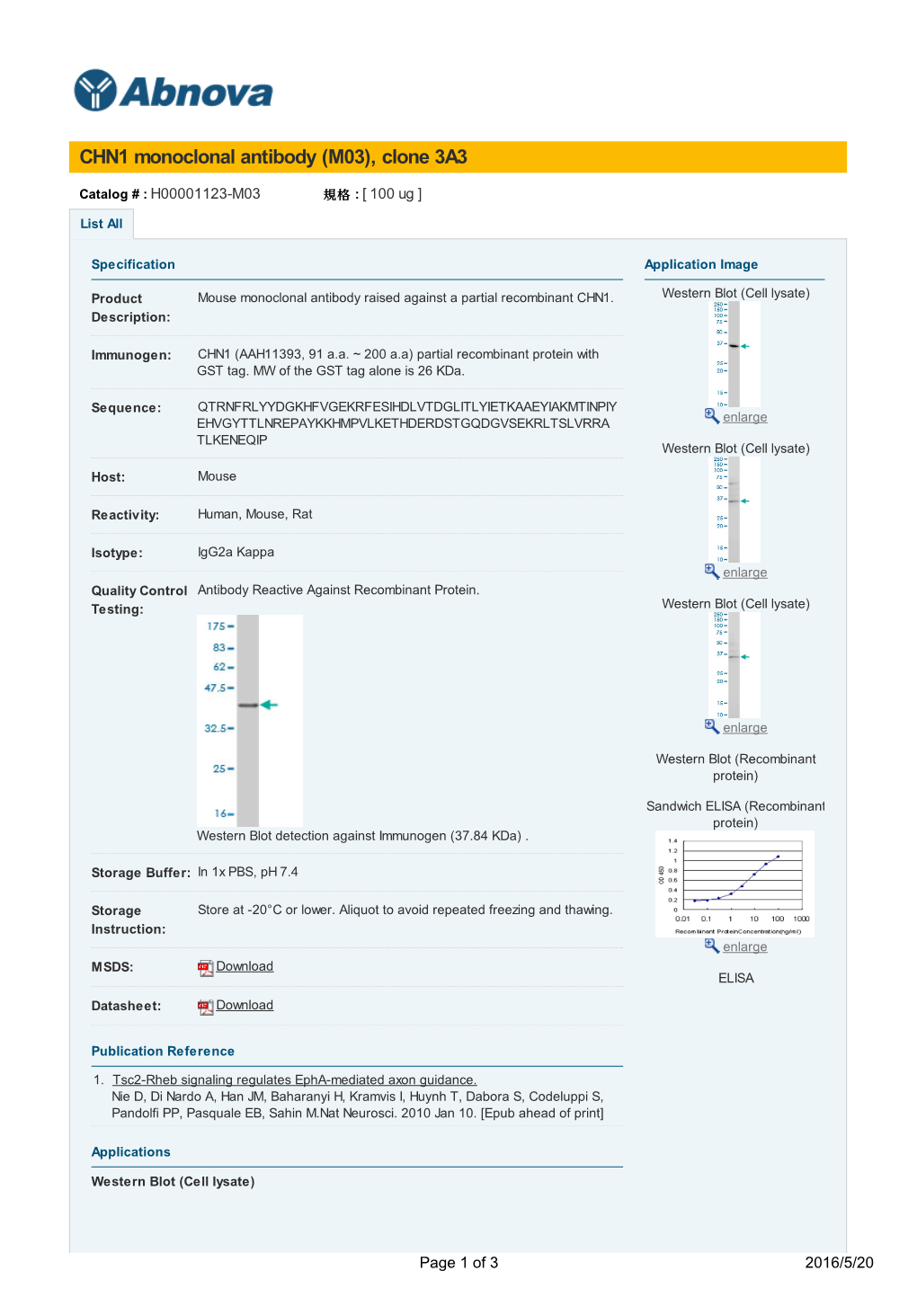 CHN1 Monoclonal Antibody (M03), Clone 3A3