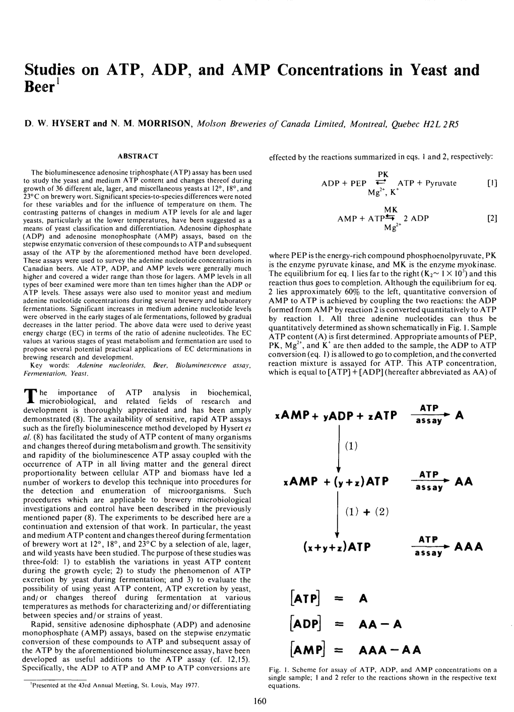 Studies on ATP, ADP, and AMP Concentrations in Yeast and Beer1