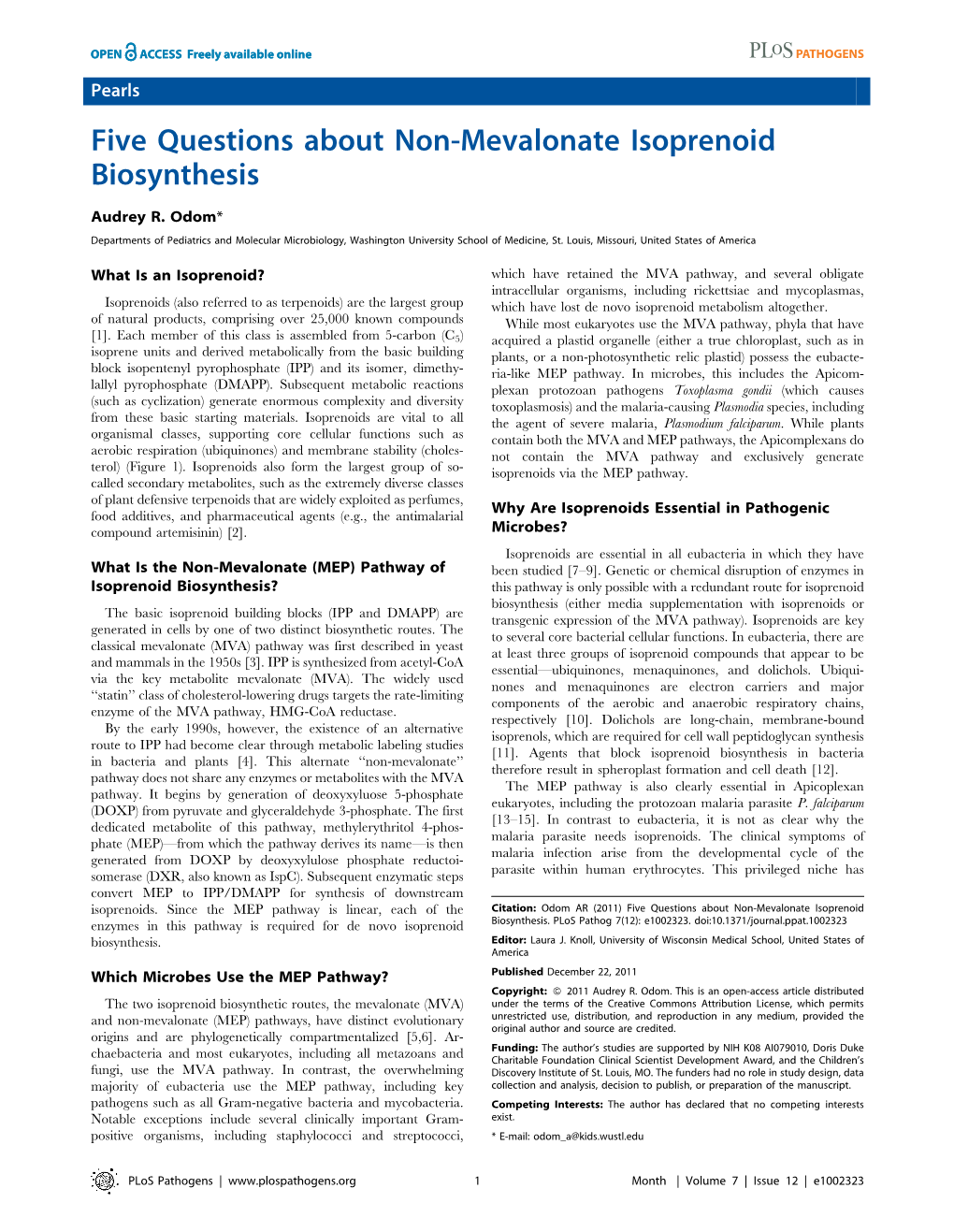 Five Questions About Non-Mevalonate Isoprenoid Biosynthesis