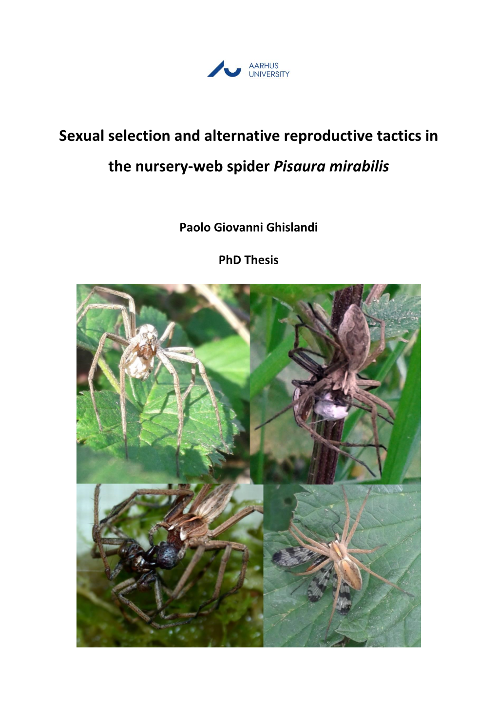 Sexual Selection and Alternative Reproductive Tactics in the Nursery-Web Spider Pisaura Mirabilis