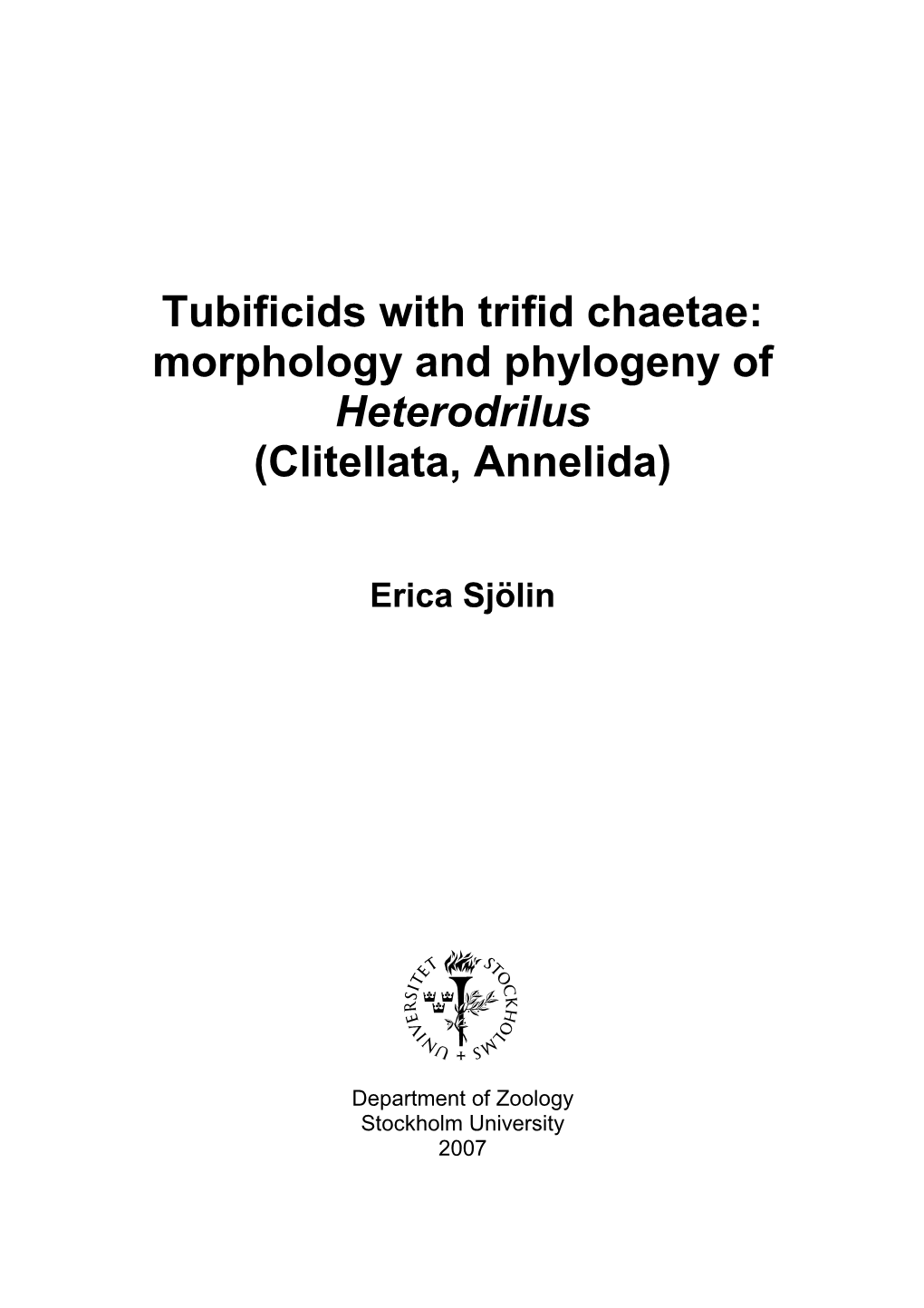 Morphology and Phylogeny of Heterodrilus (Clitellata, Annelida)
