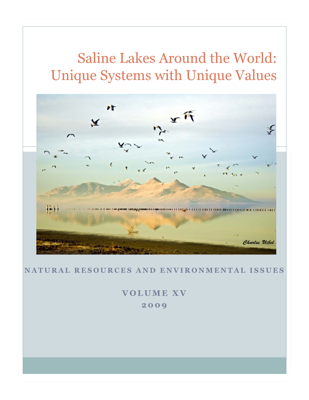 Saline Lakes Around the World: Unique Systems with Unique Values