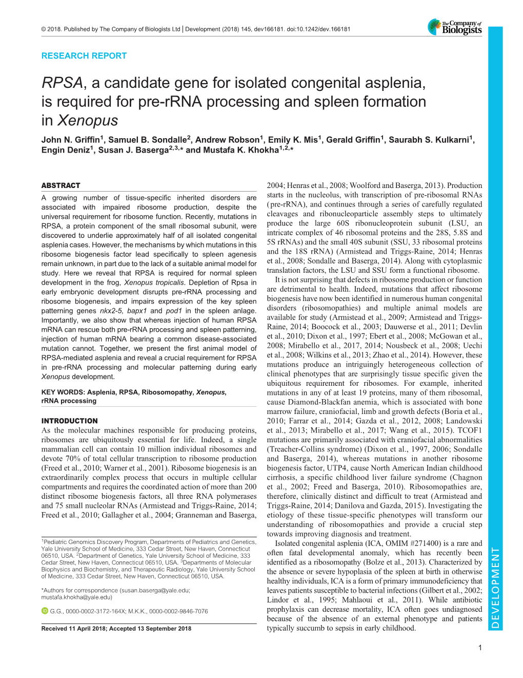 RPSA, a Candidate Gene for Isolated Congenital Asplenia, Is Required for Pre-Rrna Processing and Spleen Formation in Xenopus John N