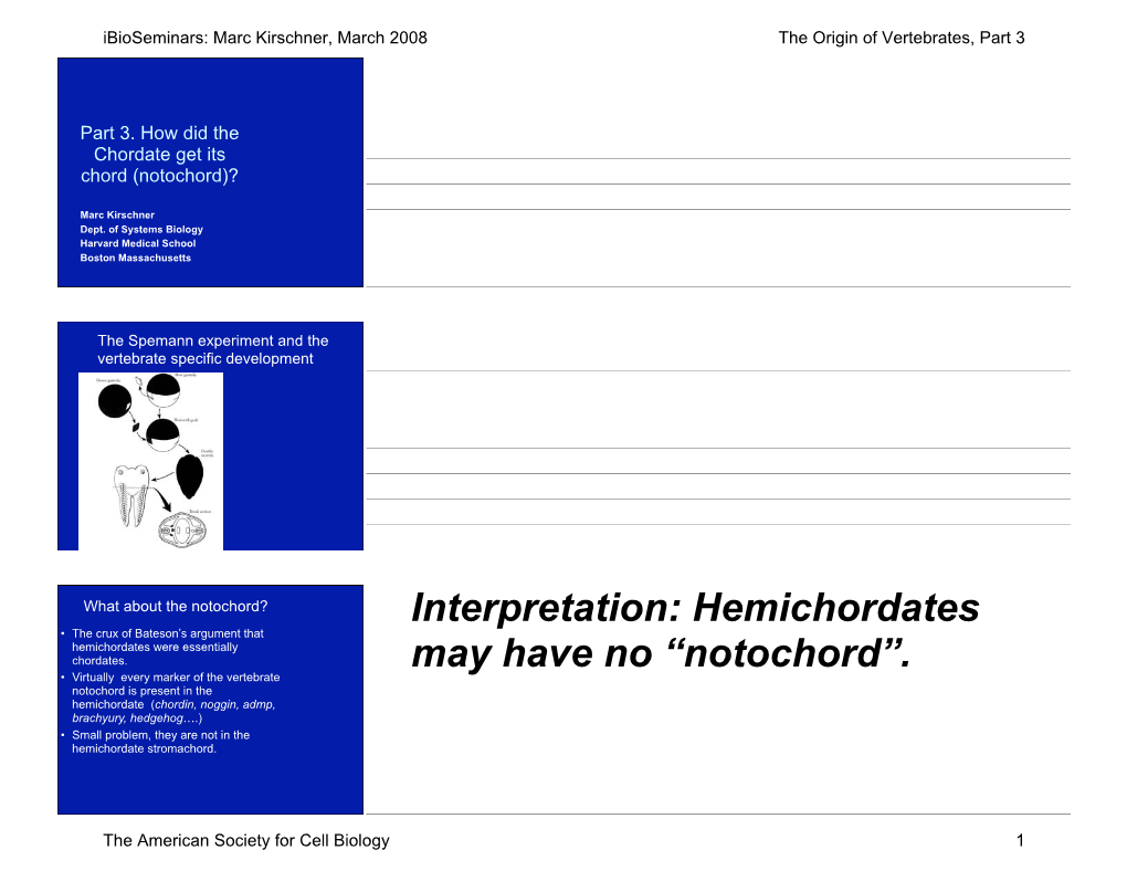 Interpretation: Hemichordates May Have No “Notochord”