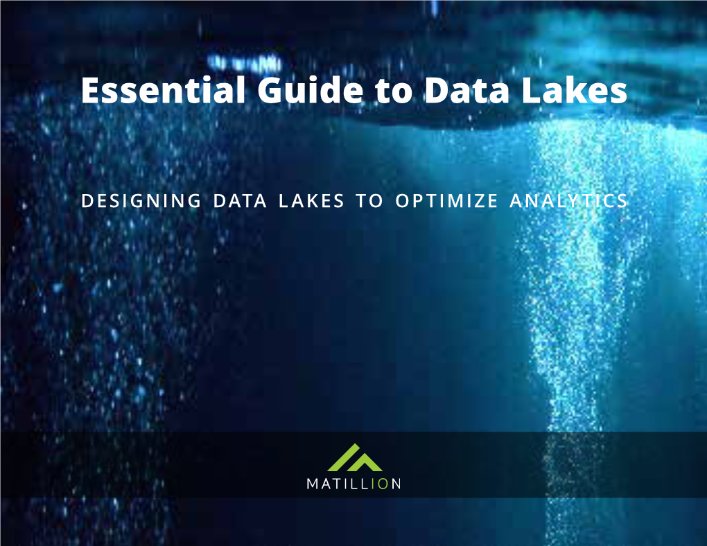 Essential Guide to Data Lakes