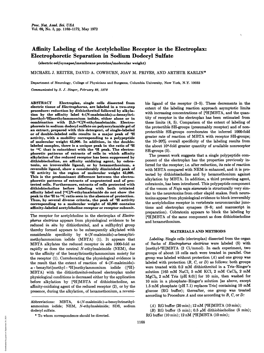 Electrophoretic Separation in Sodium Dodecyl Sulfate (Electric Eel/Synapse/Membrane Proteins/Molecular Weight)