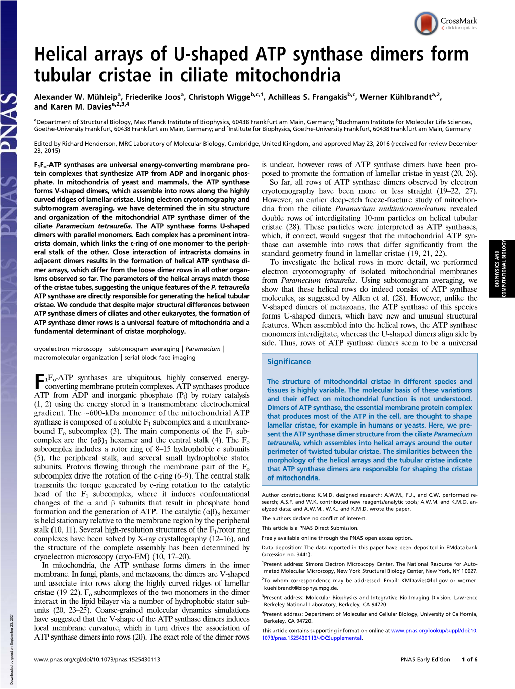 Helical Arrays of U-Shaped ATP Synthase Dimers Form Tubular Cristae in Ciliate Mitochondria