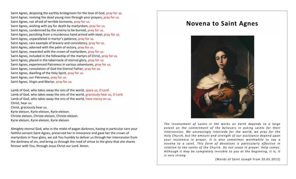 Novena to Saint Agnes Saint Agnes, Condemned by the Enemy to Be Burned, Pray for Us