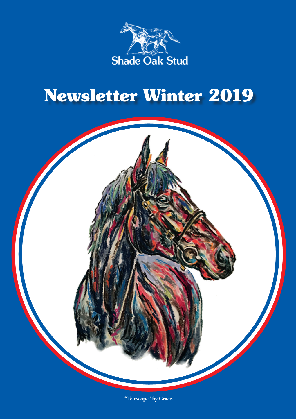 Newsletter Winter 2019