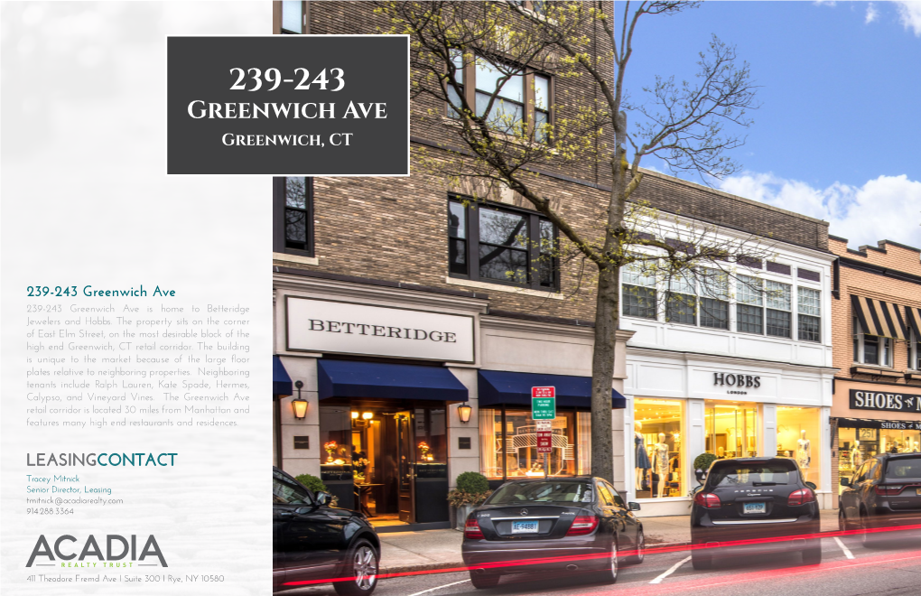 239-243 Greenwich Ave Brochure