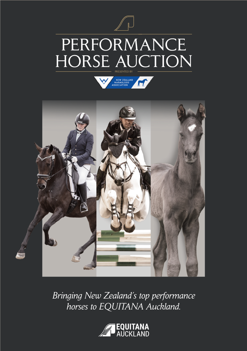 Performance Horse Auction